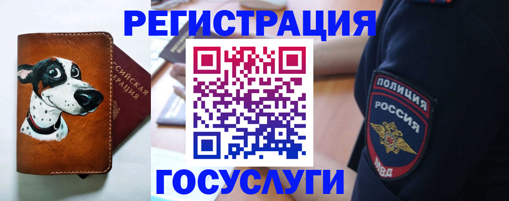 временная регистрация в квартире в Железногорск-Илимском